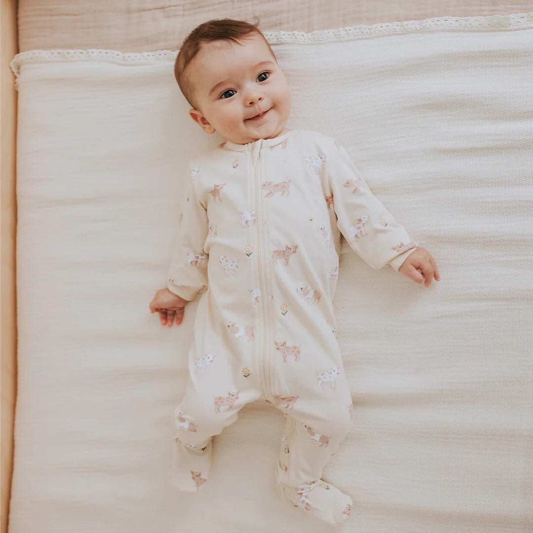 Cheeky Bambino