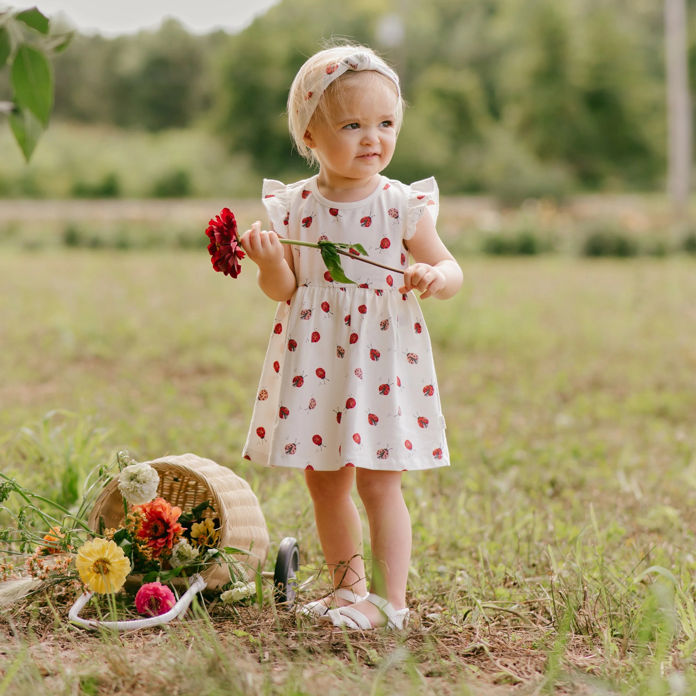 Bug sales print dress